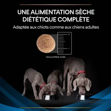 PURINA® PRO PLAN® VETERINARY DIETS Canine DRM Dermatosis - Croquettes pour chien soutenant la fonction cutanée