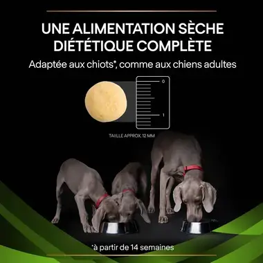 PURINA® PRO PLAN® VETERINARY DIETS Canine HA HypoAllergenic - Croquettes hypoallergéniques pour chien