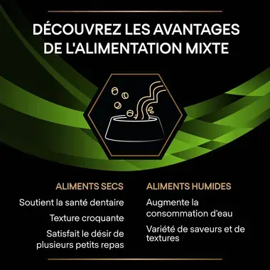 PURINA® PRO PLAN® VETERINARY DIETS Canine HA HypoAllergenic - Croquettes hypoallergéniques pour chien