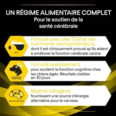PURINA® PRO PLAN® Canine NC Neurocare - Croquettes pour chien soutenant la santé cérébrale