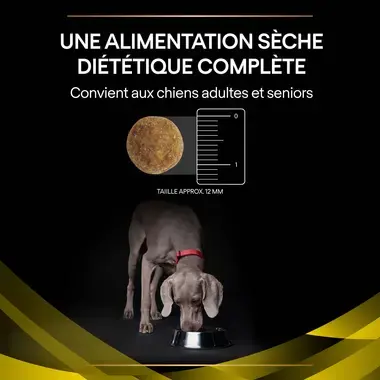PURINA® PRO PLAN® Canine NC Neurocare - Croquettes pour chien soutenant la santé cérébrale