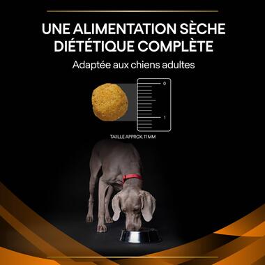 PURINA® PRO PLAN® VETERINARY DIETS Canine OM Obesity Management - Croquettes pour chien en surpoids