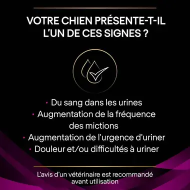 PURINA® PRO PLAN® VETERINARY DIETS Canine UR Urinary - Croquettes pour chien soutenant la fonction urinaire