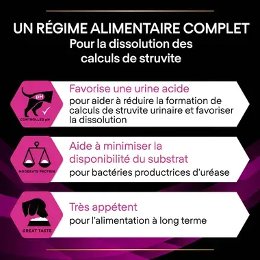 PURINA® PRO PLAN® VETERINARY DIETS Canine UR Urinary - Croquettes pour chien soutenant la fonction urinaire