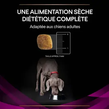 PURINA® PRO PLAN® VETERINARY DIETS Canine UR Urinary - Croquettes pour chien soutenant la fonction urinaire
