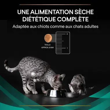 Purina® Pro Plan® Veterinary Diets Feline EN St/Ox Gastrointestinal - Croquettes pour Chat souffrant de Troubles Digestifs
