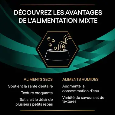 Purina® Pro Plan® Veterinary Diets Feline EN St/Ox Gastrointestinal - Croquettes pour Chat souffrant de Troubles Digestifs