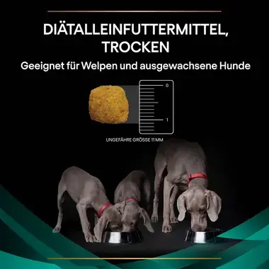 PURINA® PRO PLAN® VETERINARY DIETS Canine EN Gastrointestinal – Trockenfutter für Hunde mit Verdauungsstörungen