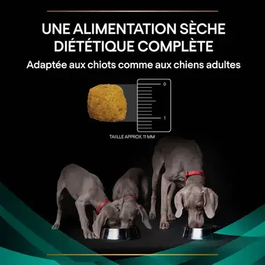PURINA® PRO PLAN® VETERINARY DIETS Canine EN Gastrointestinal - Croquettes pour chien ayant des troubles digestifs