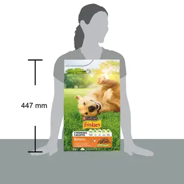 Friskies® Balance Poulet et Bœuf avec Légumes, Croquettes pour Chien 3 kg