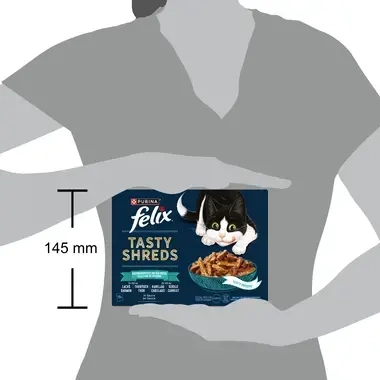 FELIX® TASTY SHREDS FISCHAUSWAHL 10X80 G
