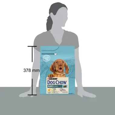 DOG CHOW® Junior Huhn 2,5 kg