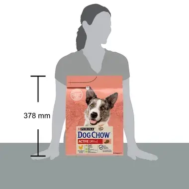Dog Chow Active Adult Poulet 2.5 kg