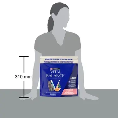 07613035595019 VITAL BALANCE ADULT Saumon, 450 g