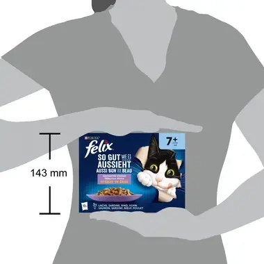 FELIX® So gut wie es aussieht SOSSENLIEBHABER FISCHAUSWAHL 12X85 G