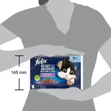 FELIX® AUSSI BON QUE BEAU SENIOR AU BŒUF 4X85 G