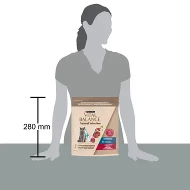 VITAL BALANCE® Natural Selection Sec Bœuf 1.4kg