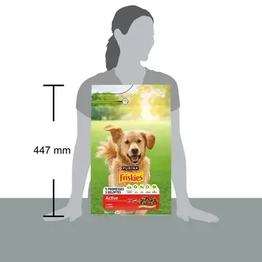 Friskies® Dog Active mit Rind, Hunde Trockenfutter, Beutel 3kg