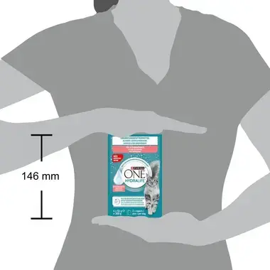 PURINA ONE HYDRALIFE Aliment complémentaire pour chat adulte au goût de Saumon, Sachet 6x50g
