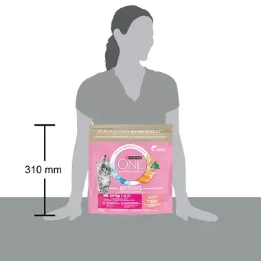 PURINA ONE Junior  Riche en Saumon, Croquettes Chat 1.5kg