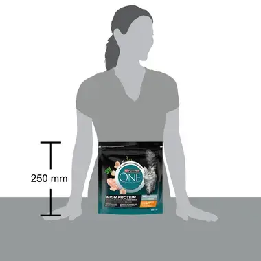 PURINA ONE High Protein Riche en Poulet
