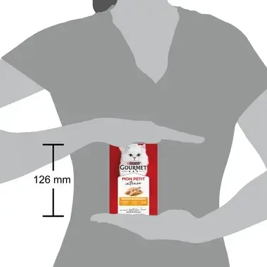 PURINA Gourmet Mon Petit Intense