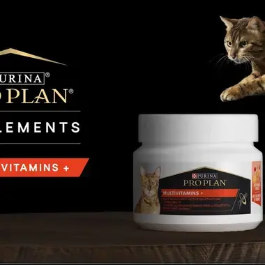 Aliment complémentaire pour chat PRO PLAN®