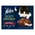FELIX® TASTY SHREDS SELECTION DE LA CAMPAGNE 10X80 G