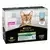 PURINA® PRO PLAN® Sterilised NUTRISAVOUR™ en mousse - au cabillaud