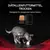 Purina® Pro Plan® Veterinary Diets Feline DM St/Ox Diabetes Management -Trockenfutter für Katzen mit Diabetes