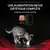 Purina® Pro Plan® Veterinary Diets Feline DM St/Ox Diabetes Management - Croquettes pour chat diabétique