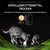 Purina® Pro Plan® Veterinary Diets Feline HA St/Ox Hypoallergenic - Trockenfutter für Katzen mit Futtermittelallergie