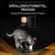 Purina® Pro Plan® Veterinary Diets Feline OM St/Ox Obesity Management - Trockenfutter für fettleibige Katzen
