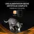 Purina® Pro Plan® Veterinary Diets Feline Om St/Ox Obesity Management - Croquettes pour Chat Obèse