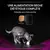 Purina® Pro Plan® Veterinary Diets Feline Ur St/Ox Urinary Poulet - Croquettes pour Chat sujets aux Calculs Urinaires