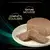 Purina® Pro Plan® Veterinary Diets Feline EN St/Ox Gastrointestinal - Boites pour Chat ayant des Troubles Digestifs