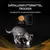 Purina® Pro Plan® Veterinary Diets Feline NF Renal Function Advanced Care - Trockenfutter für Katzen mit Niereninsuffizienz i