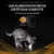 Purina® Pro Plan® Veterinary Diets Feline NF Renal Function Early Care - Croquettes pour Chat souffrant d'Insuffisance Rénale