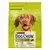 Dog Chow Adult Poulet 2.5 kg