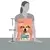 Dog Chow Light Adult Dinde 2.5 kg