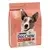 Dog Chow Active Adult Poulet 2.5 kg