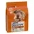 Dog Chow Senior Agneau 14 kg