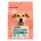 Dog Chow Light Adult Dinde 2.5 kg