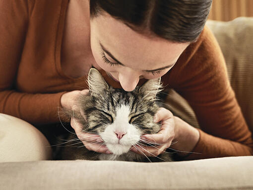 Chat et propriétaire hypoallergéniques