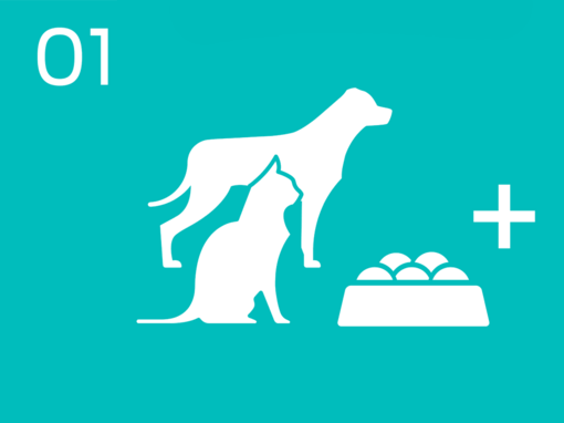 01 Infografik mit Hunde- und Katzenfutter