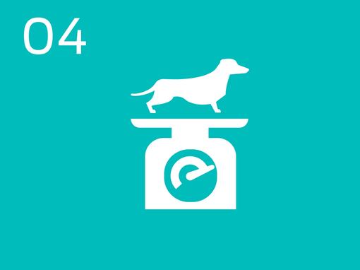 04 Infografik Hund auf Waage