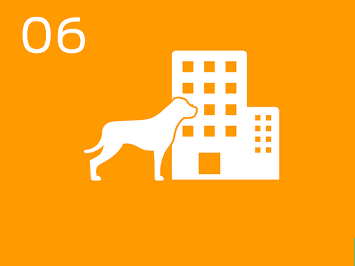 06 Infografik Hund im Bürogebäude
