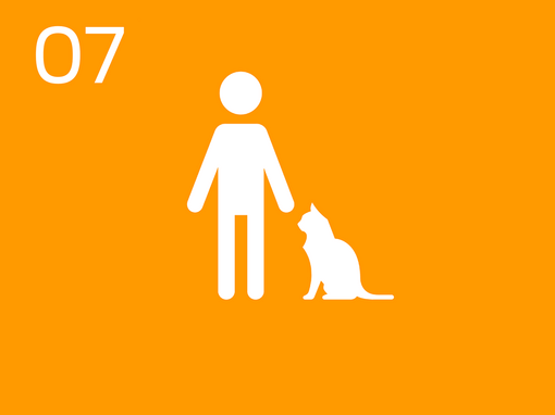 07 Infografik Mensch mit Katze