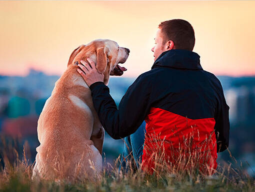 Mann sitzt draussen mit Labrador