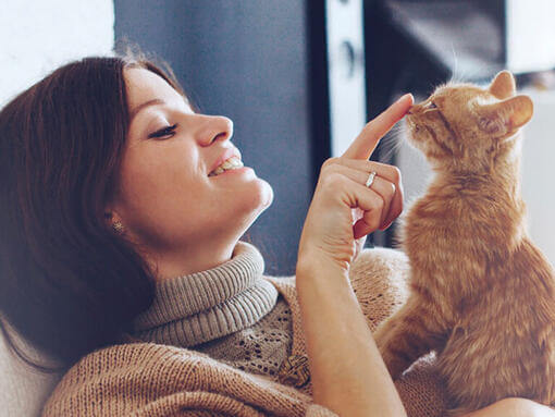 Femme touchant le museau d'un chat roux